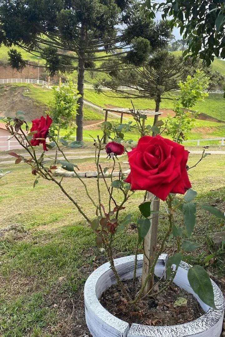 Sitio Tio Jonas - Rancho Queimado - Casa Da Colina Villa Brazil